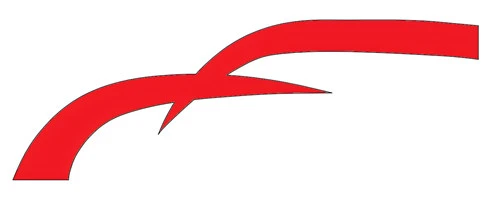 Tecnología automotriz Co., Ltd. de Shanghai Xinmao